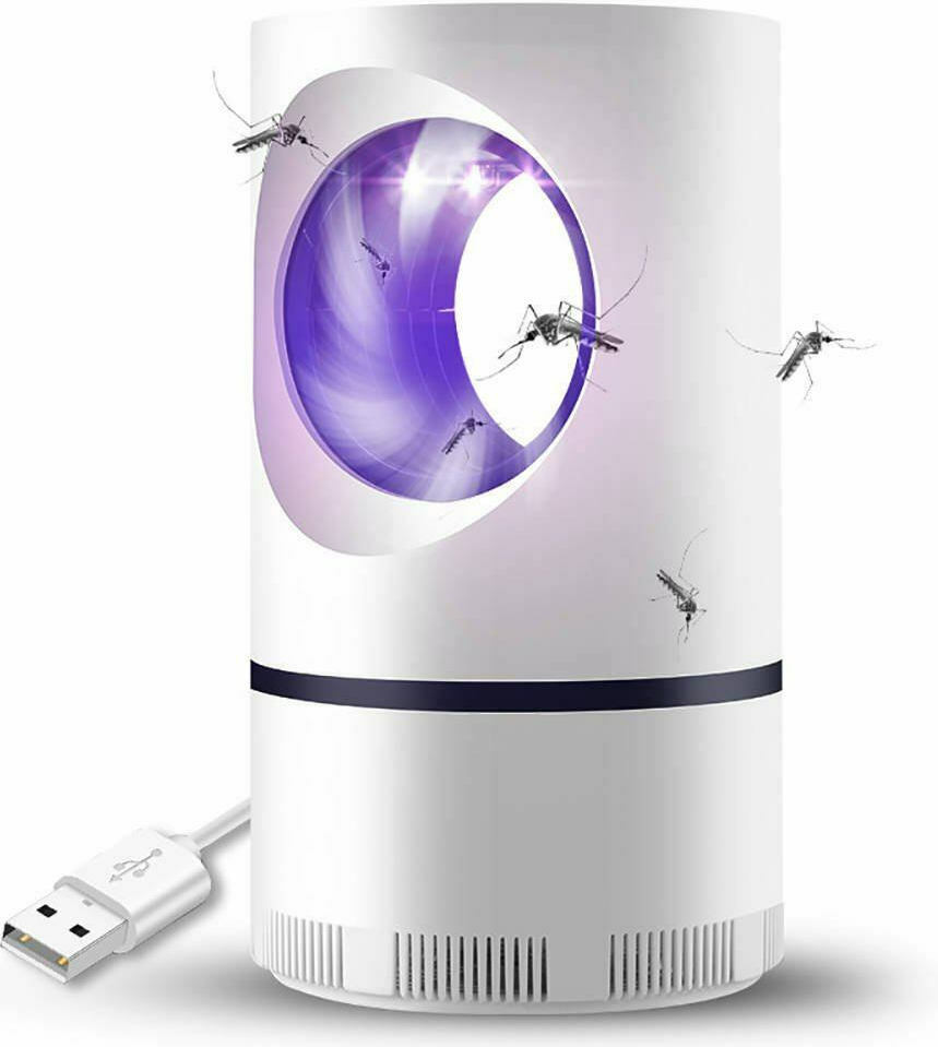 Teza Lamp